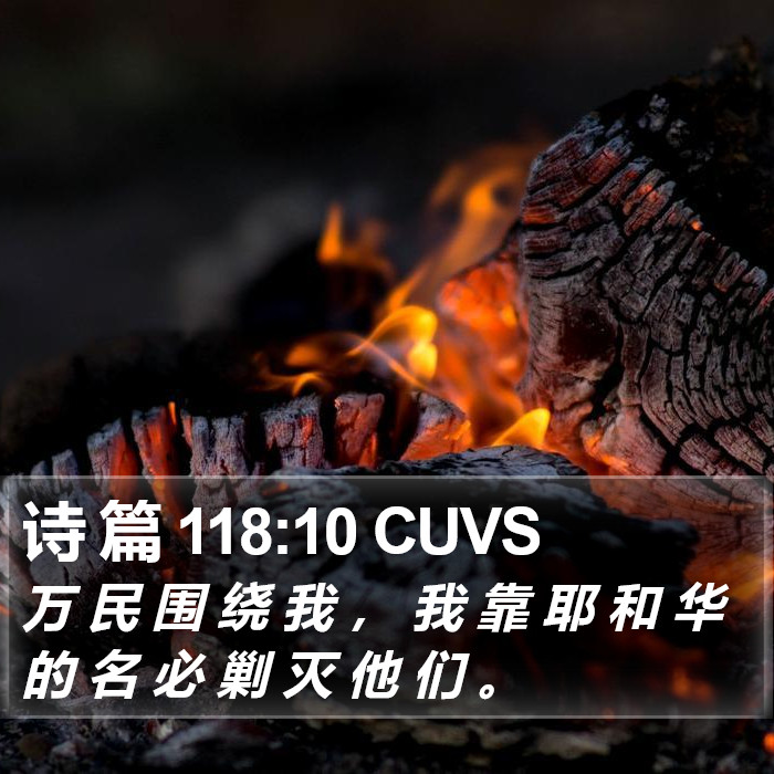 诗 篇 118:10 CUVS Bible Study