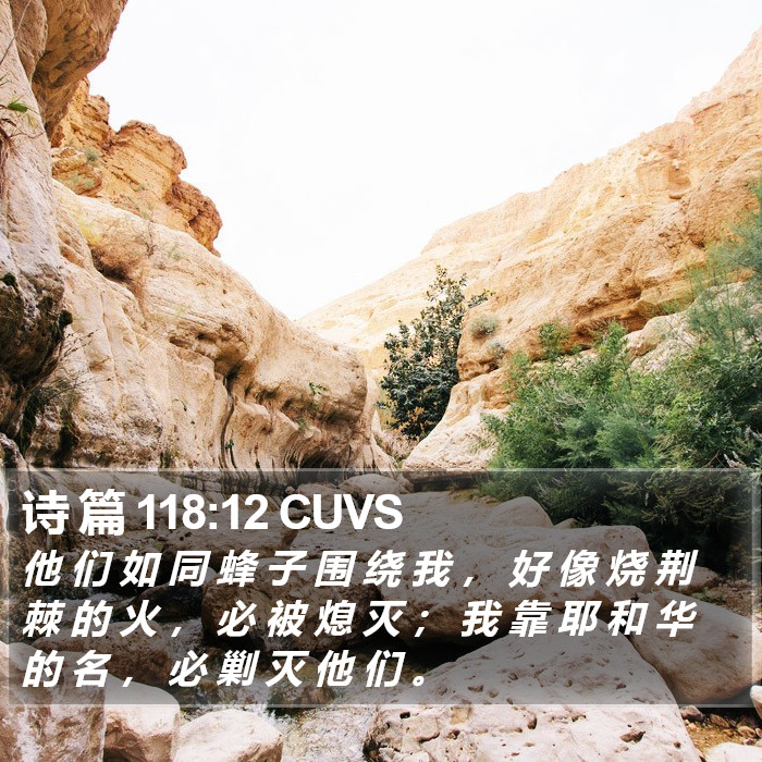 诗 篇 118:12 CUVS Bible Study