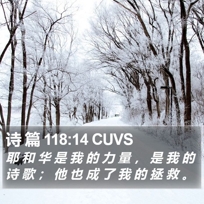 诗 篇 118:14 CUVS Bible Study