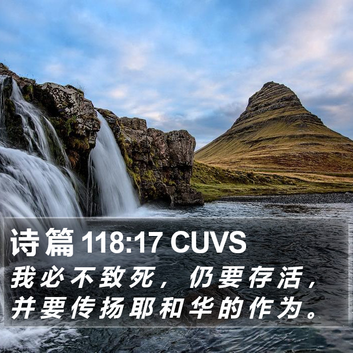 诗 篇 118:17 CUVS Bible Study