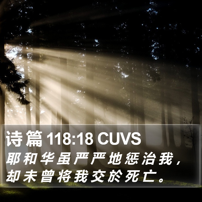 诗 篇 118:18 CUVS Bible Study