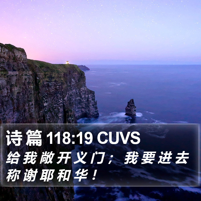 诗 篇 118:19 CUVS Bible Study