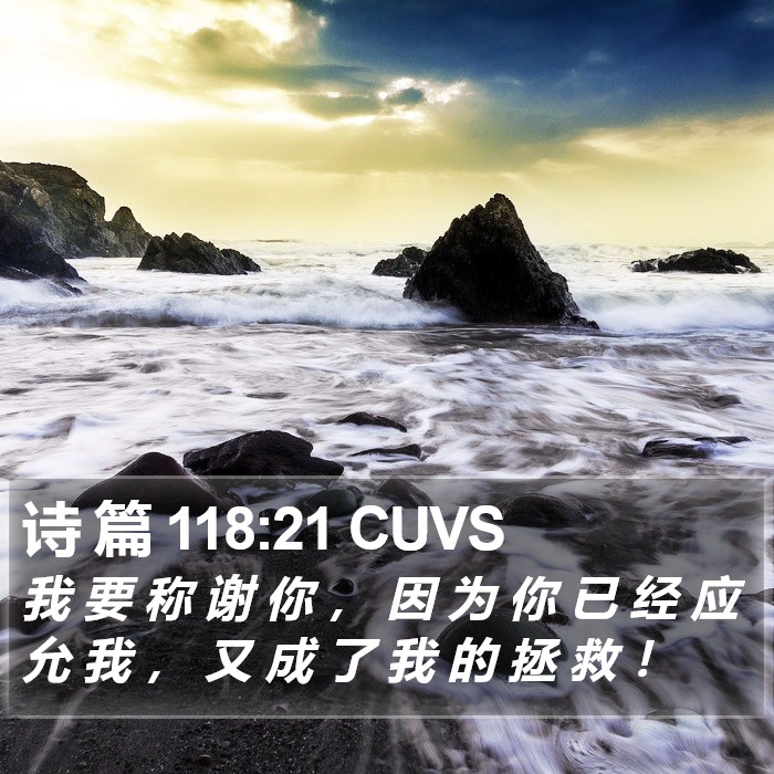 诗 篇 118:21 CUVS Bible Study