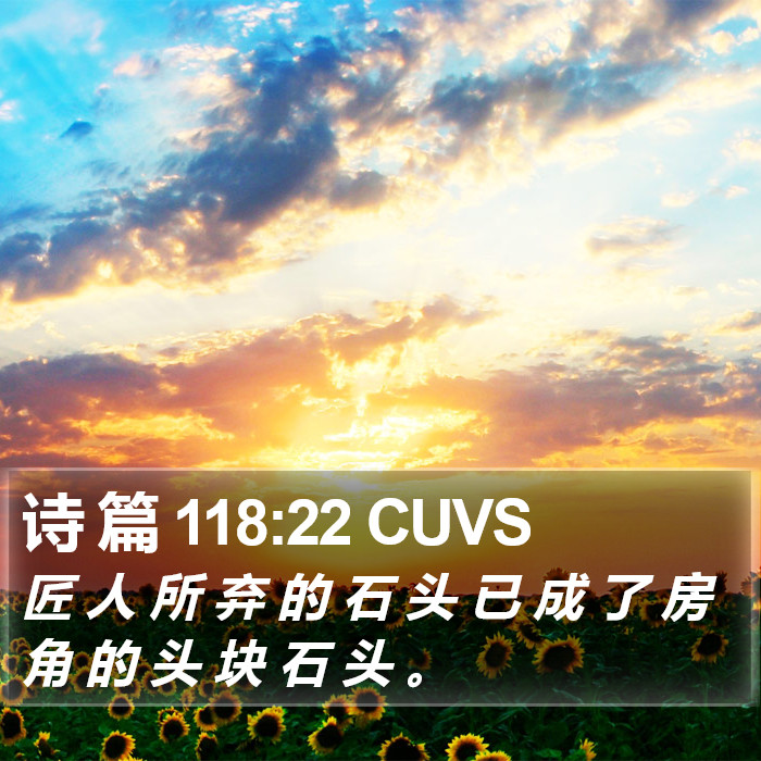 诗 篇 118:22 CUVS Bible Study