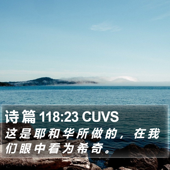诗 篇 118:23 CUVS Bible Study