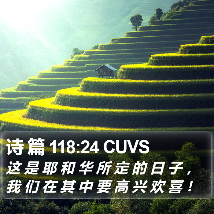 诗 篇 118:24 CUVS Bible Study