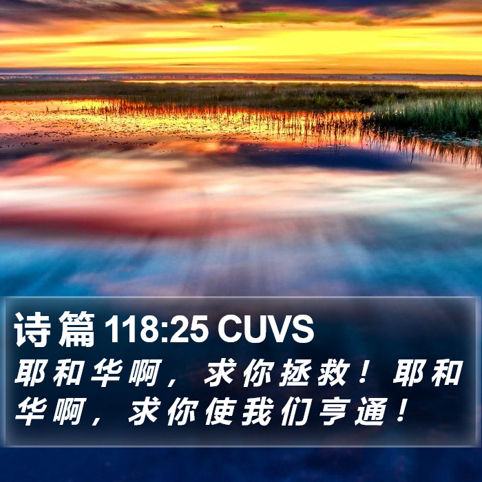 诗 篇 118:25 CUVS Bible Study