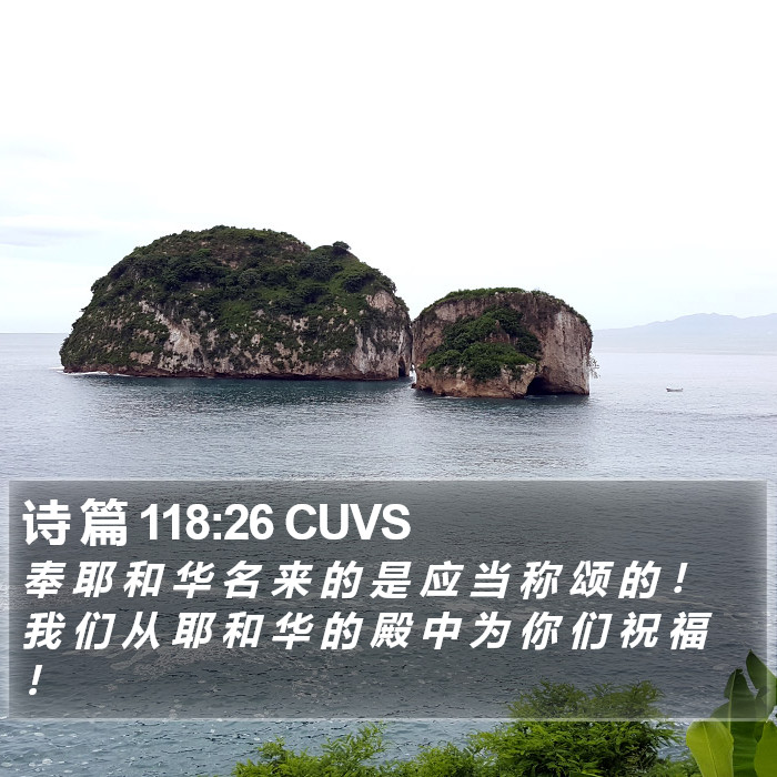 诗 篇 118:26 CUVS Bible Study