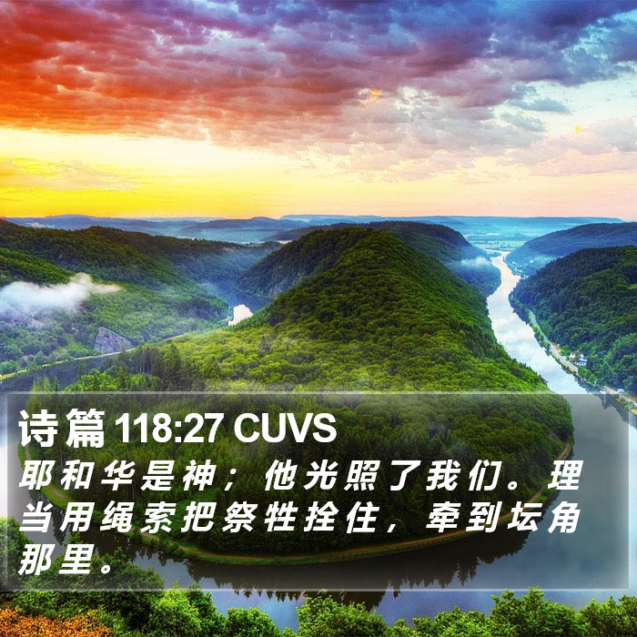 诗 篇 118:27 CUVS Bible Study