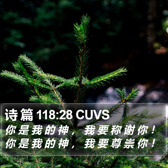 诗 篇 118:28 CUVS Bible Study