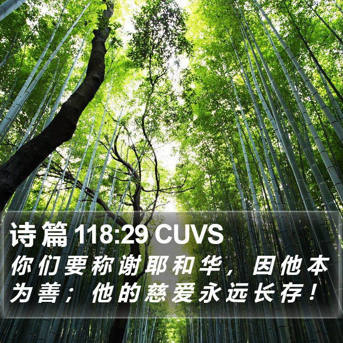 诗 篇 118:29 CUVS Bible Study