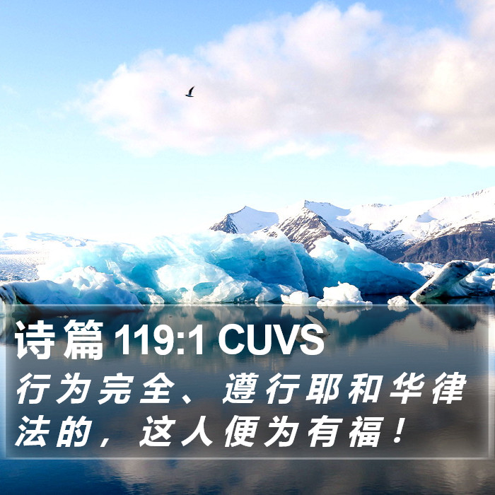 诗 篇 119:1 CUVS Bible Study