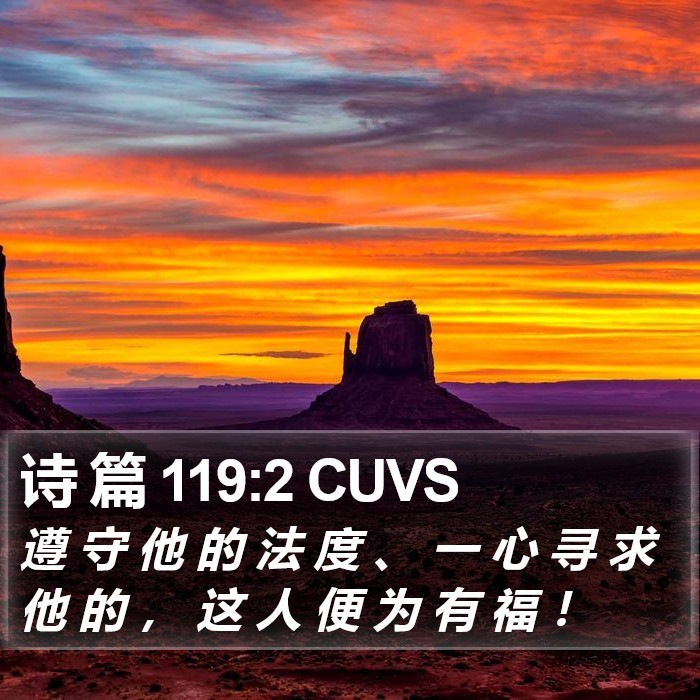 诗 篇 119:2 CUVS Bible Study