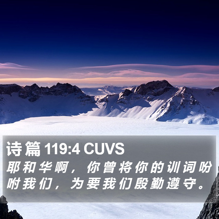 诗 篇 119:4 CUVS Bible Study