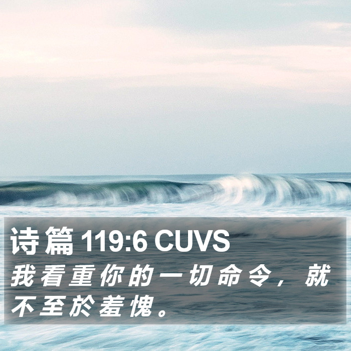 诗 篇 119:6 CUVS Bible Study