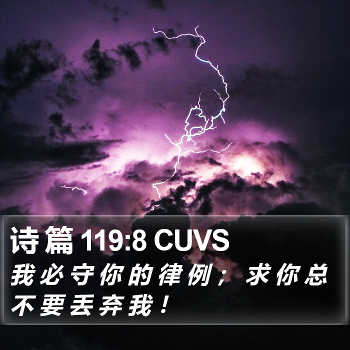 诗 篇 119:8 CUVS Bible Study