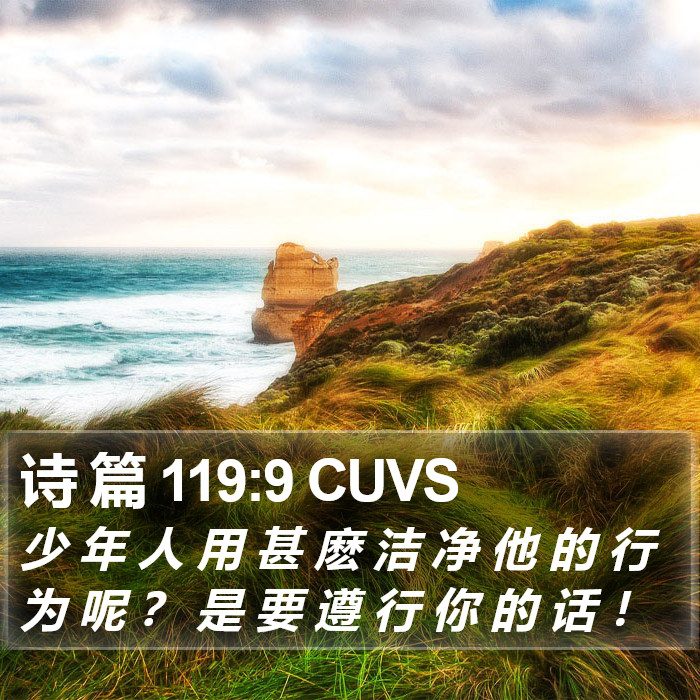 诗 篇 119:9 CUVS Bible Study