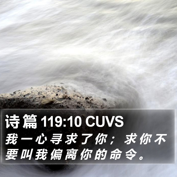 诗 篇 119:10 CUVS Bible Study