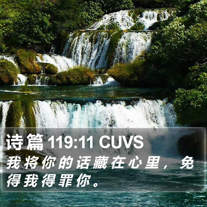 诗 篇 119:11 CUVS Bible Study