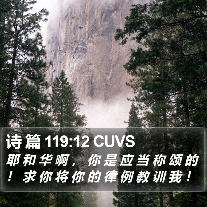 诗 篇 119:12 CUVS Bible Study