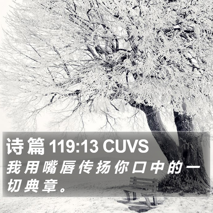 诗 篇 119:13 CUVS Bible Study