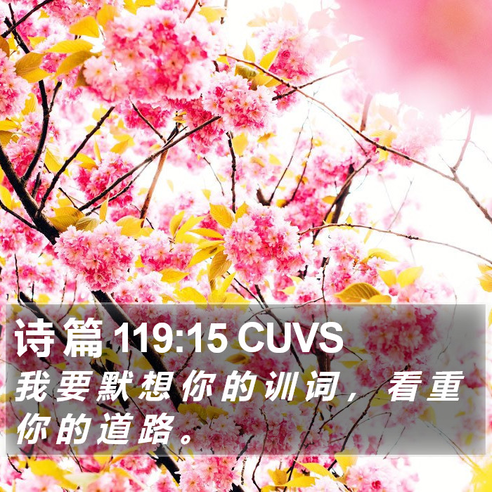 诗 篇 119:15 CUVS Bible Study