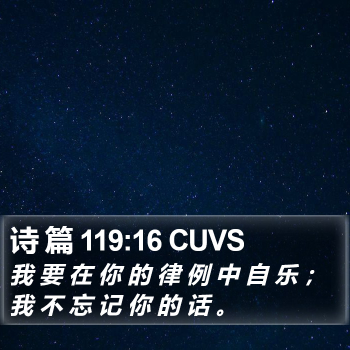 诗 篇 119:16 CUVS Bible Study