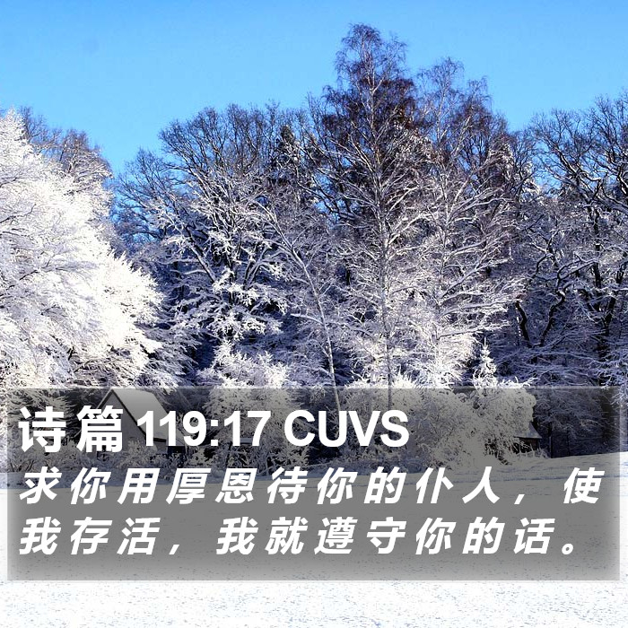 诗 篇 119:17 CUVS Bible Study