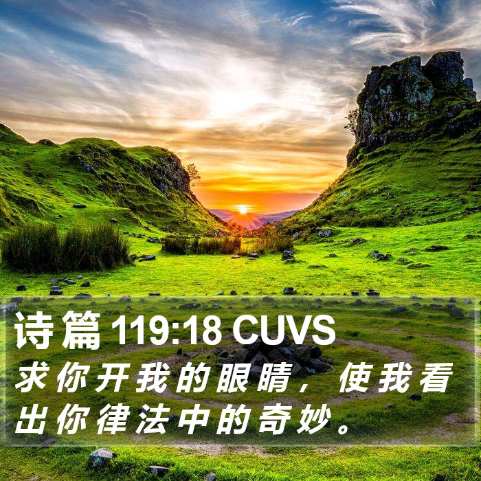 诗 篇 119:18 CUVS Bible Study