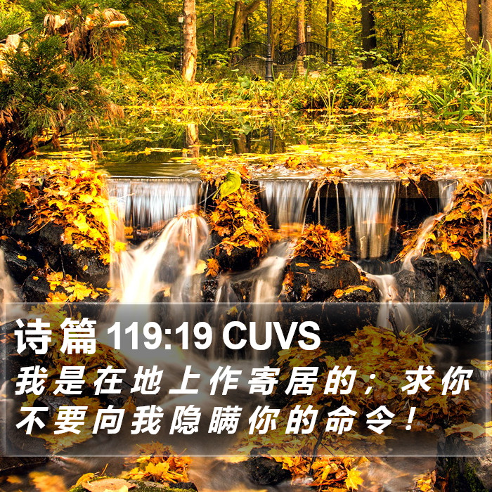 诗 篇 119:19 CUVS Bible Study