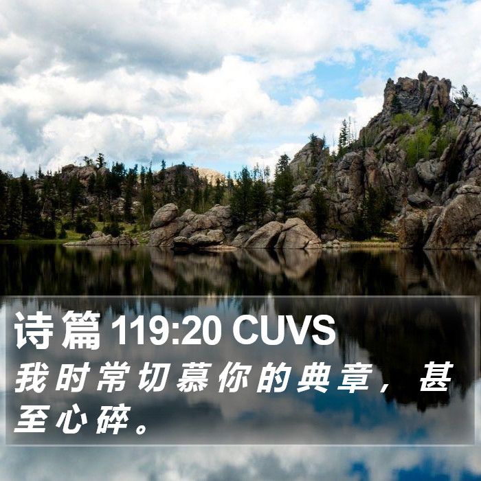 诗 篇 119:20 CUVS Bible Study