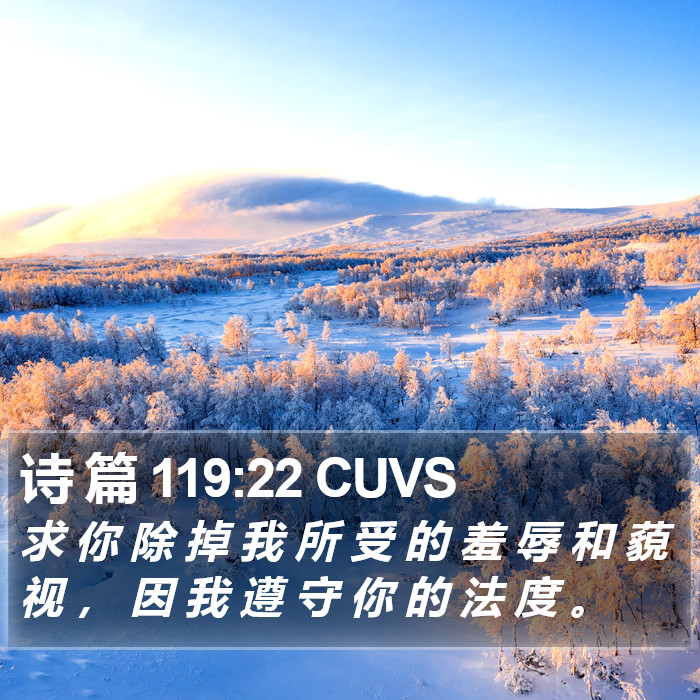 诗 篇 119:22 CUVS Bible Study