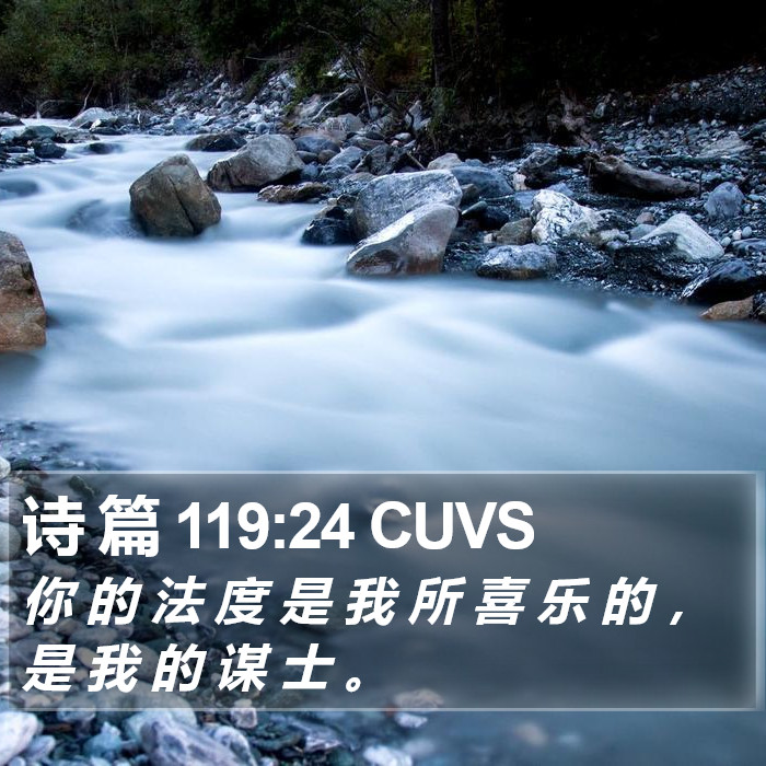 诗 篇 119:24 CUVS Bible Study