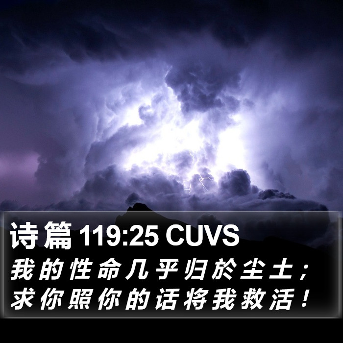 诗 篇 119:25 CUVS Bible Study