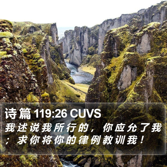 诗 篇 119:26 CUVS Bible Study