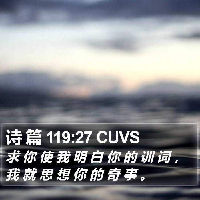 诗 篇 119:27 CUVS Bible Study