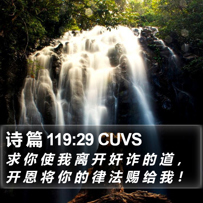 诗 篇 119:29 CUVS Bible Study