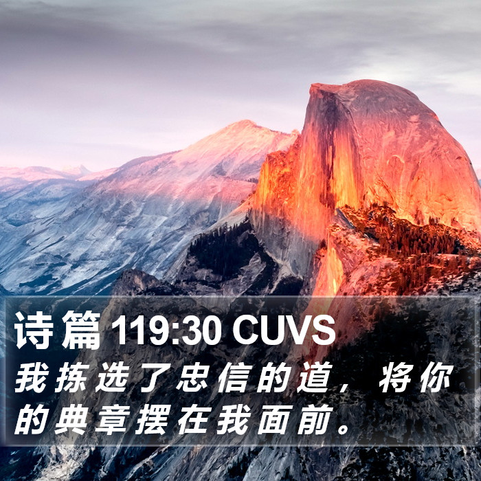 诗 篇 119:30 CUVS Bible Study