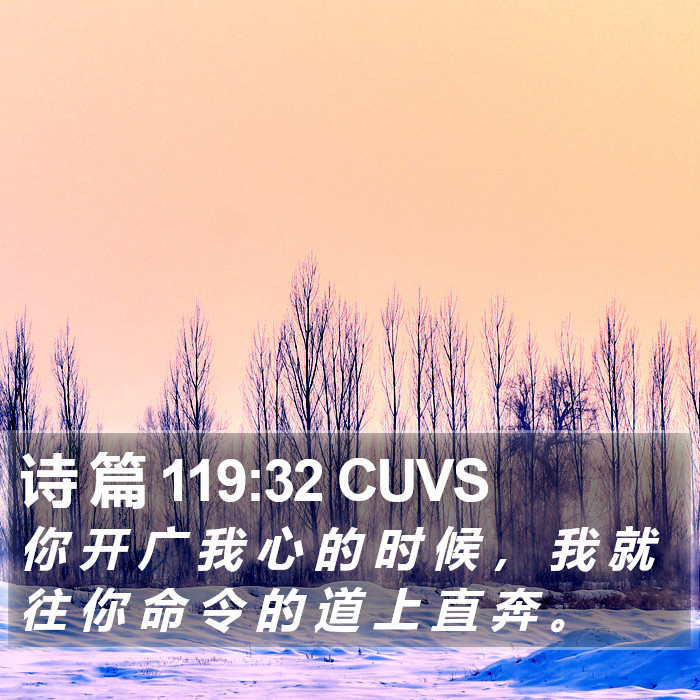 诗 篇 119:32 CUVS Bible Study