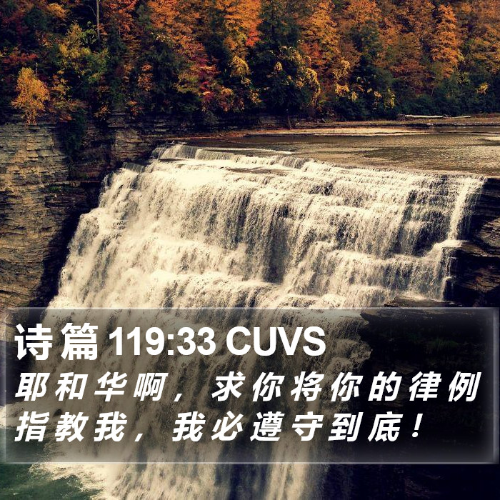 诗 篇 119:33 CUVS Bible Study