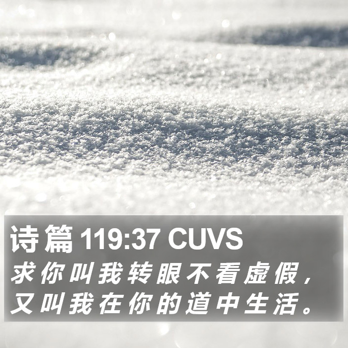 诗 篇 119:37 CUVS Bible Study