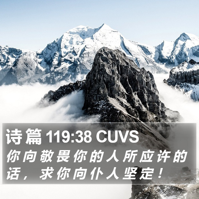 诗 篇 119:38 CUVS Bible Study