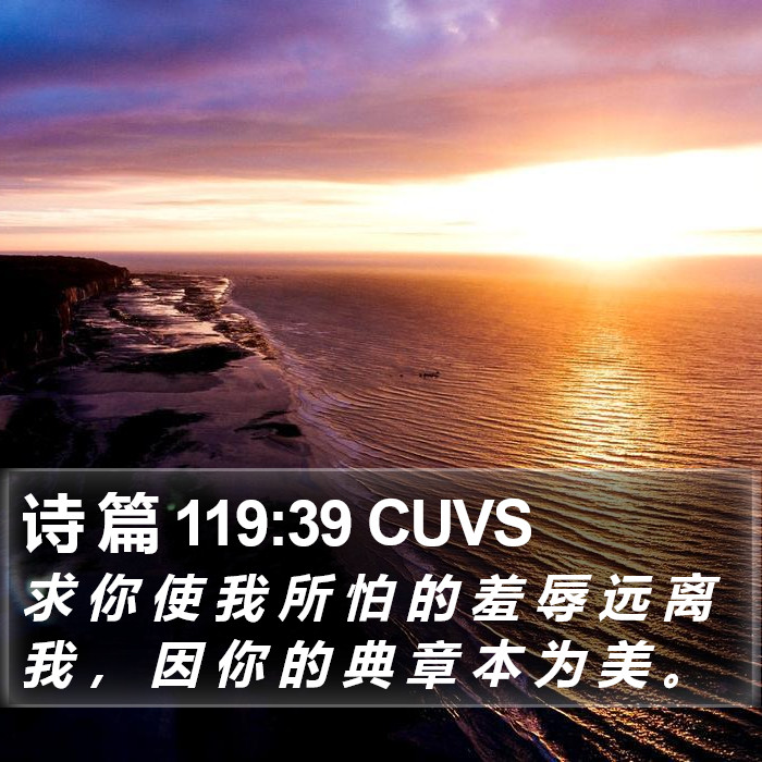 诗 篇 119:39 CUVS Bible Study