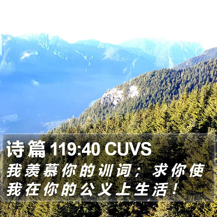 诗 篇 119:40 CUVS Bible Study