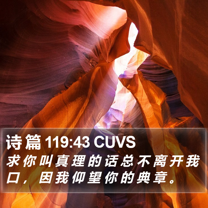 诗 篇 119:43 CUVS Bible Study