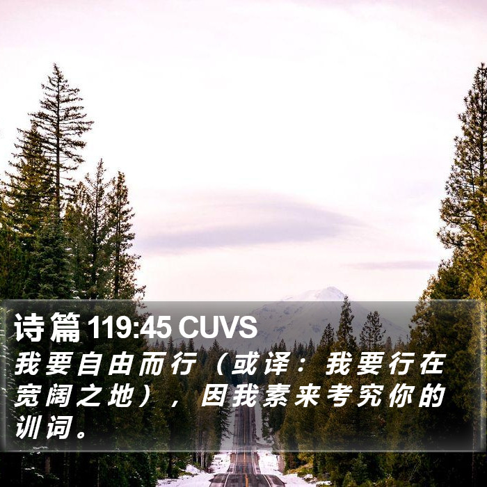 诗 篇 119:45 CUVS Bible Study