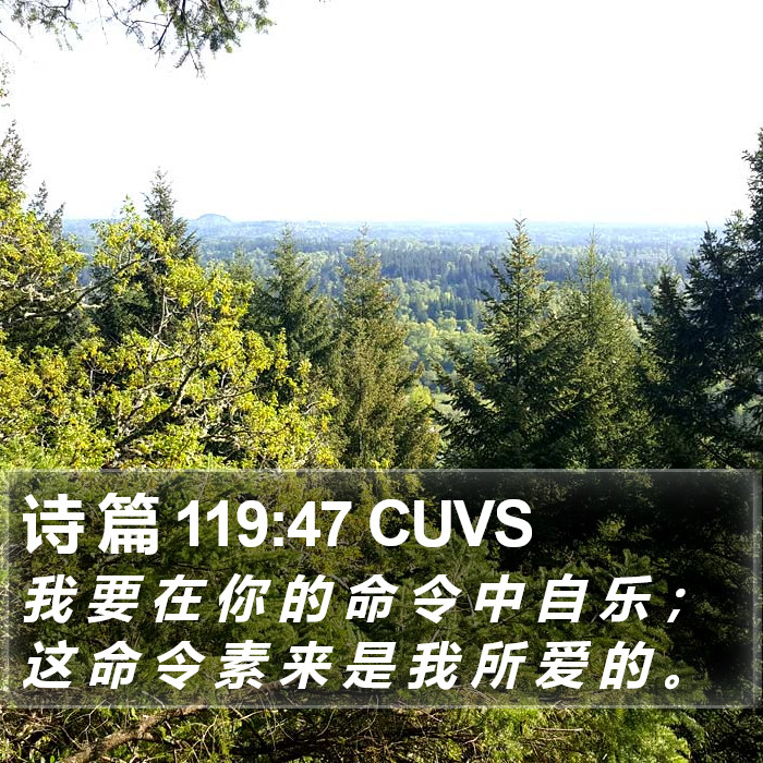 诗 篇 119:47 CUVS Bible Study