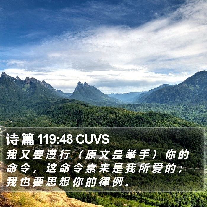 诗 篇 119:48 CUVS Bible Study