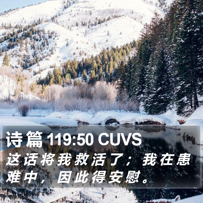 诗 篇 119:50 CUVS Bible Study