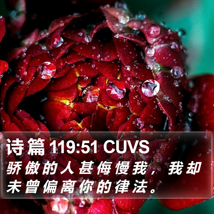 诗 篇 119:51 CUVS Bible Study